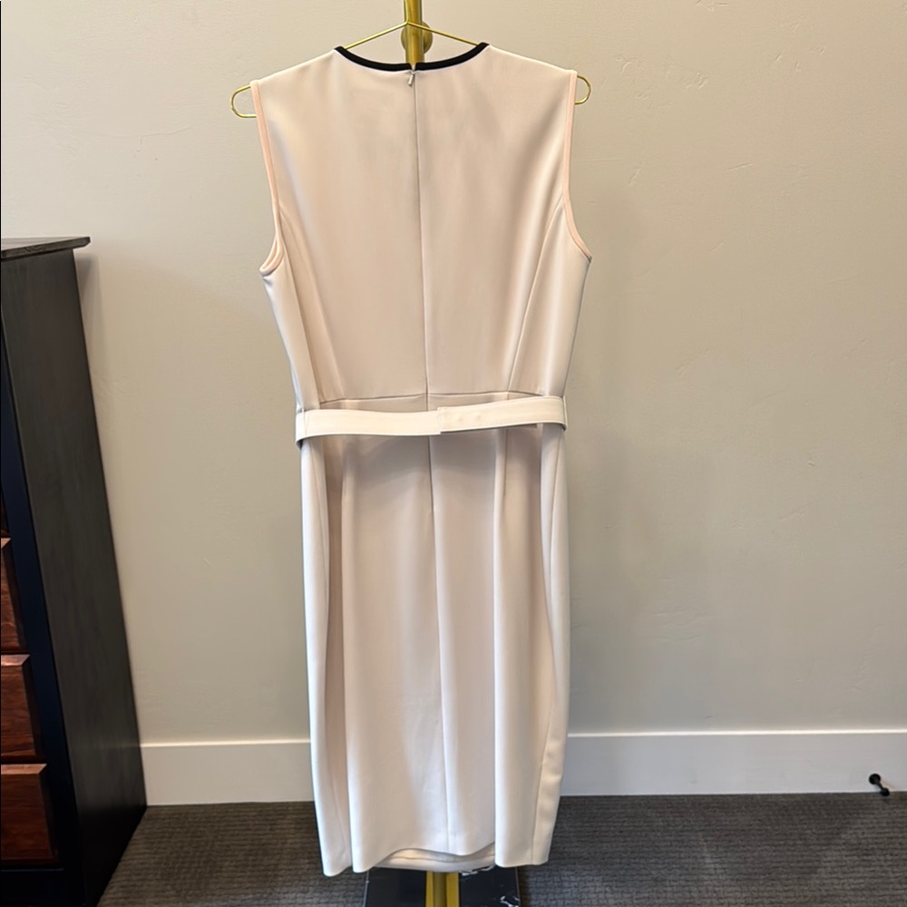 MaxMara Cream Pink Sleeveless Sheath Midi Dress - Picture 3 of 3